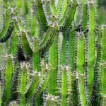 深入解析vwin娱乐投注平台的安全性与流畅体验 5i6b0hzd