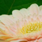 58158彩手机开奖最新结果查询与中奖号码公布 kg0u6wnn1