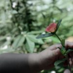 深入解析嬴咖娱乐登录入口的身份认证与账户安全要点 n9b39pl