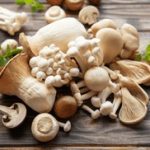 588彩票最新开奖结果查询与中奖号码公布 vw1sh